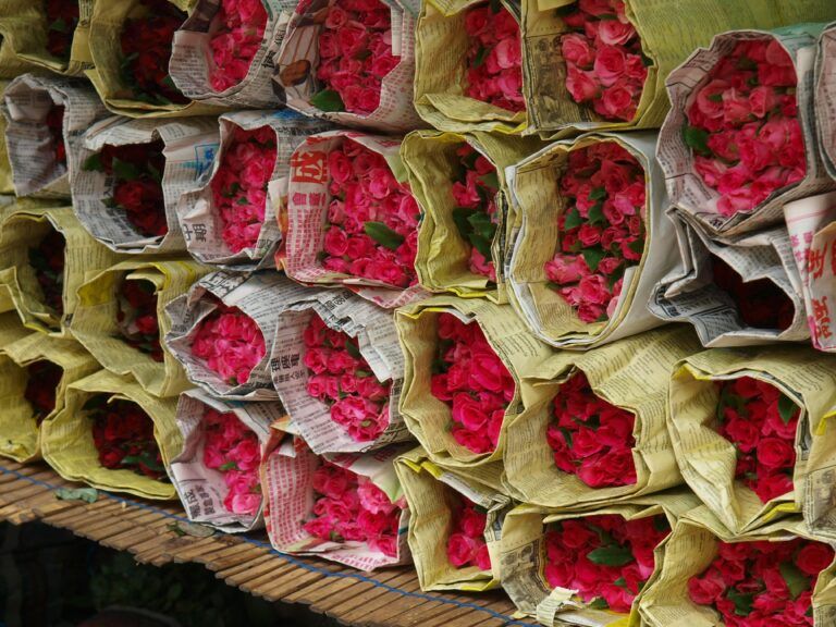A Journey Through Thailand’s Flower Culture