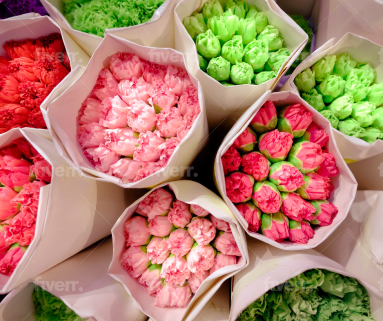 Different types of flowers