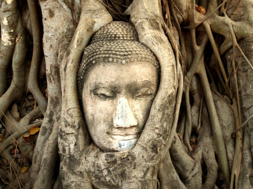 Buddha head at Wat Mahathat