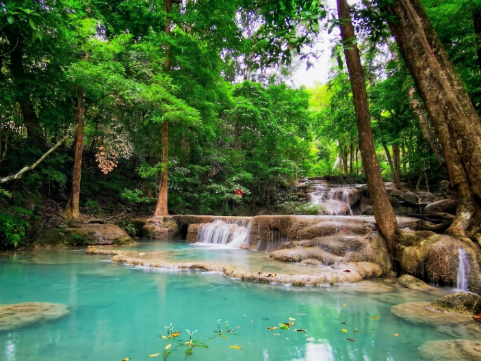 Lush jungle surrounding the emerald pools of Erawan National Park
